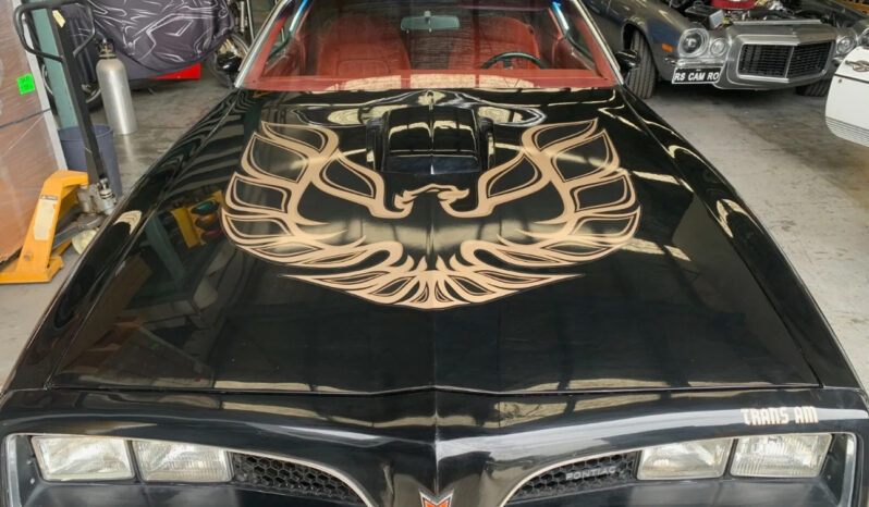 
								1977 PONTIAC TRANS AM full									