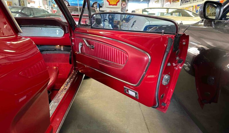 
								1966 Ford Mustang Fastback full									