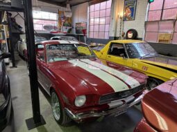 1966 FORD MUSTANG FASTBACK